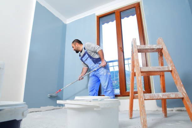 Reliable Auburn Lake Trails, CA Mold Removal Solutions