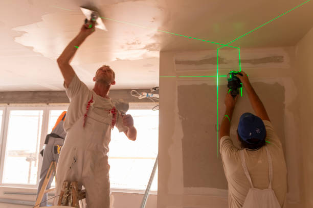 Best Attic Mold Removal  in Auburn Lake Trails, CA