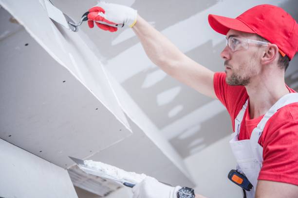 Best Environmental Consulting for Mold Prevention  in Auburn Lake Trails, CA